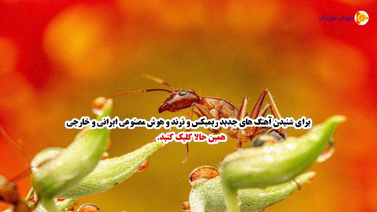 دانلود آهنگ تو مگه قلب منی (اونقدر عاشق ميشم) از معین